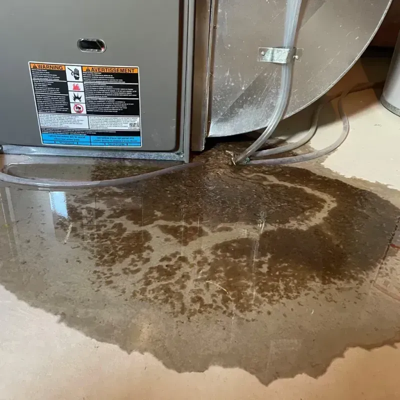 Appliance Leak Cleanup in Lauderhill, FL